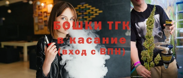 винт Ельня