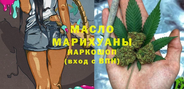 винт Ельня
