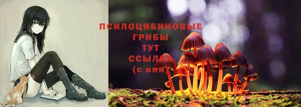 винт Ельня