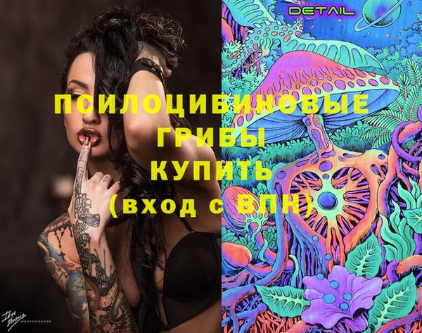 mdpv Елизово