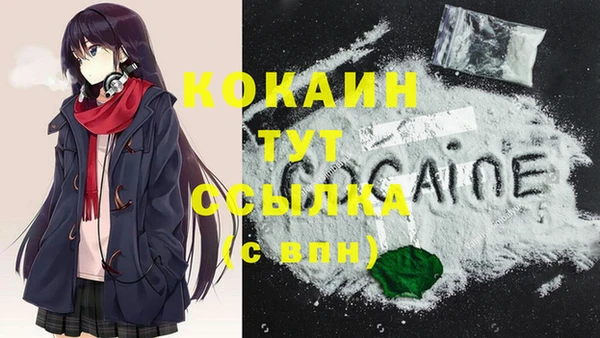 mdpv Елизово