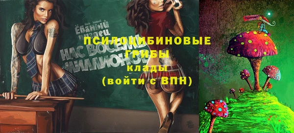 винт Ельня