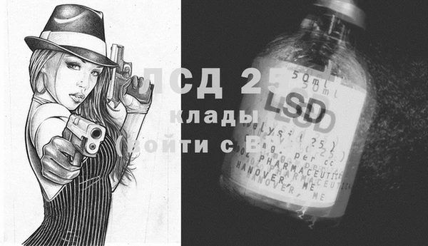 винт Ельня