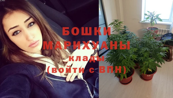 винт Ельня