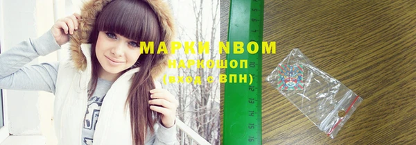 винт Ельня